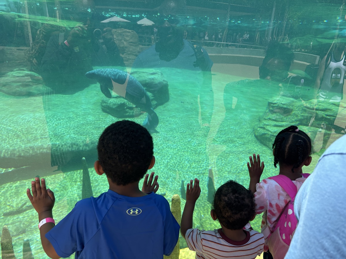 All three siblings pressing their hands against an aquarium glass watching a sea turtle swim by